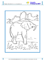 Disegni Animali Elefante 01 DIC12