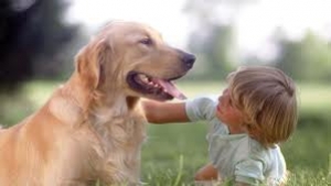 Autismo e pet therapy