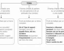 Il tema: strategie vincenti